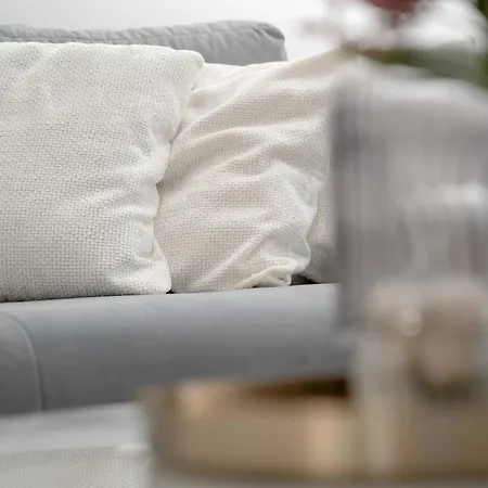 Appartement Elegant In Center With Desk And Air Conditioned Living By Renters